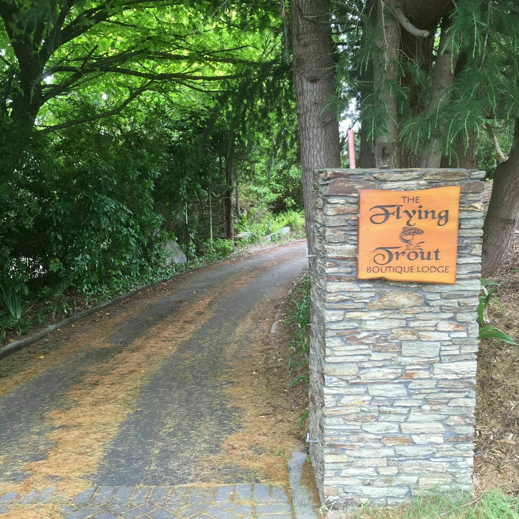 The Flying Trout Boutique Lodge Lago Lago Taupo Exterior foto
